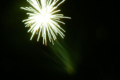 Z nadchodzącym Nowym 2010 Rokiem życzymy wszystkim Podróżnym dużo zdrowia oraz prawdziwej radości z życia