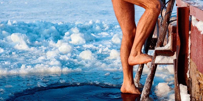 Morskie morsów kąpiele, wycieczka 2-dniowa