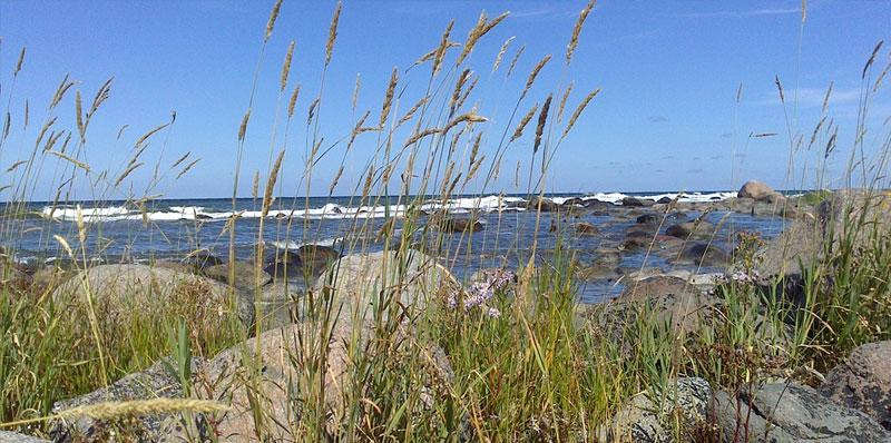 Bornholm - Gotlandia - Alandy. Rejs luksusowym statkiem